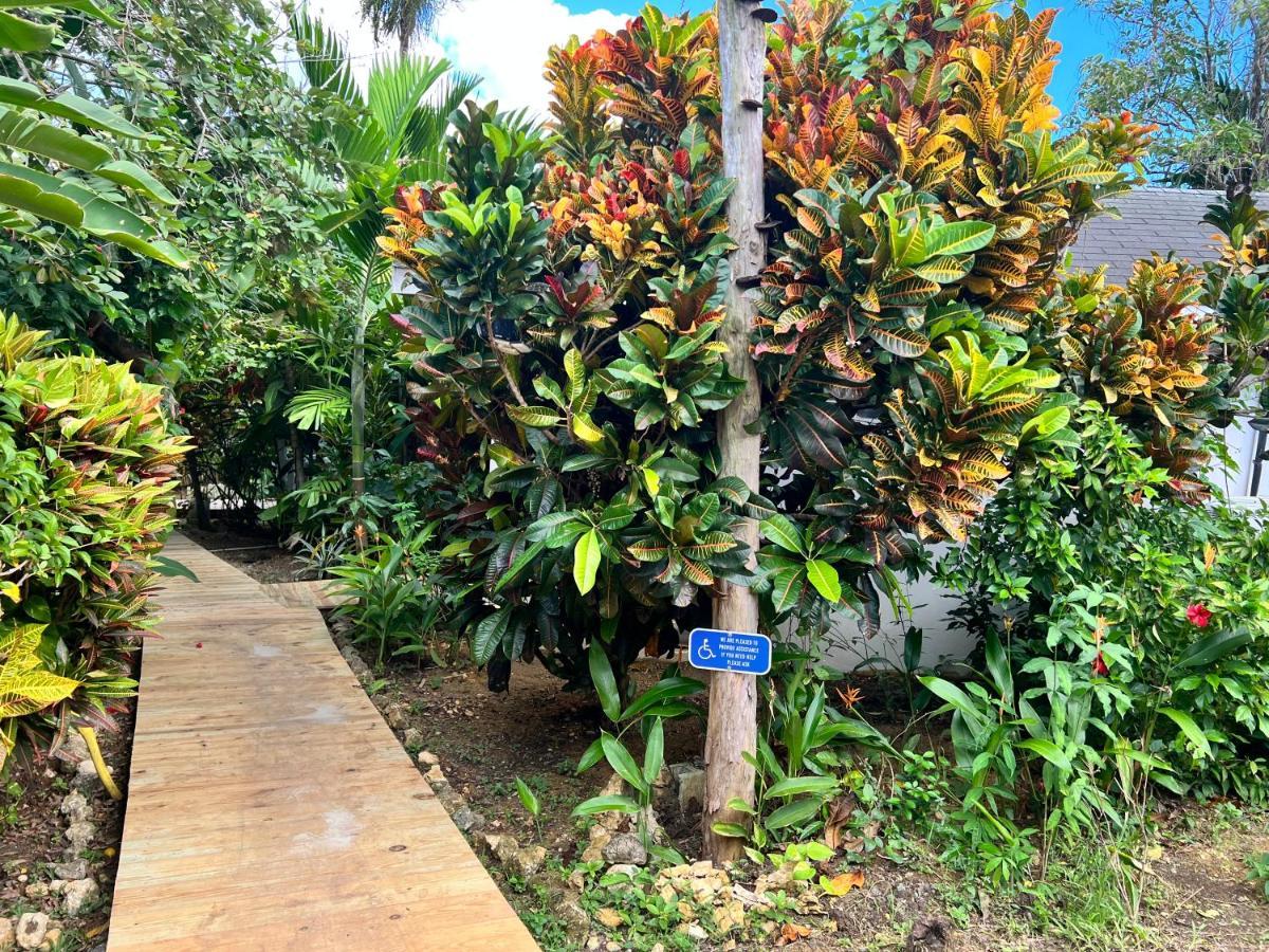 Jamaica Colors And Eco-retreat 4*