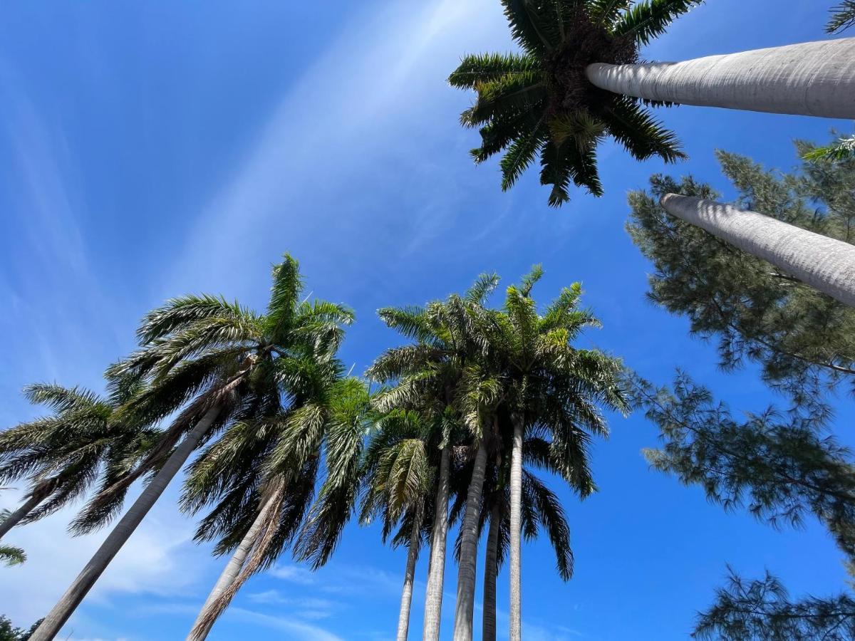 The @ Peaceful Palms * Montego Bay