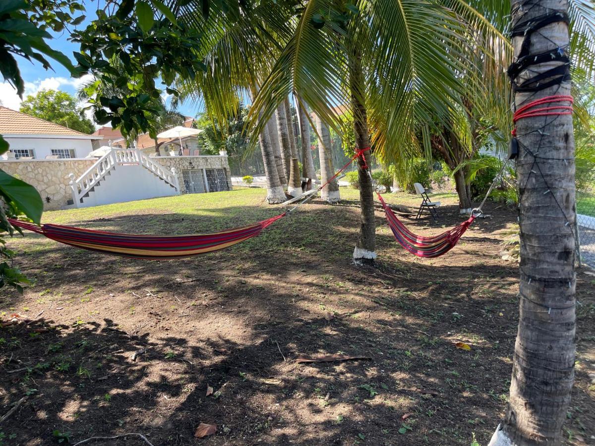 The @ Peaceful Palms Hostel Montego Bay