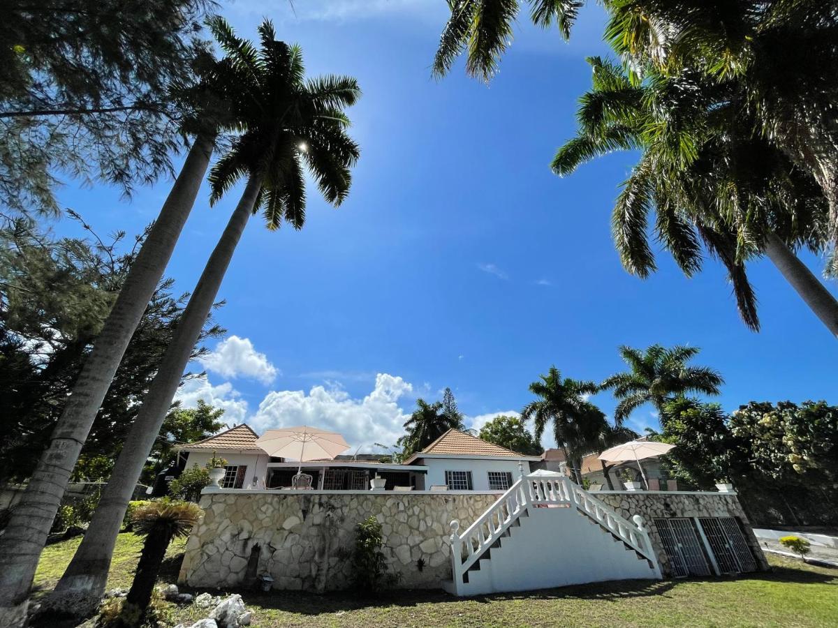 The @ Peaceful Palms Hostel *