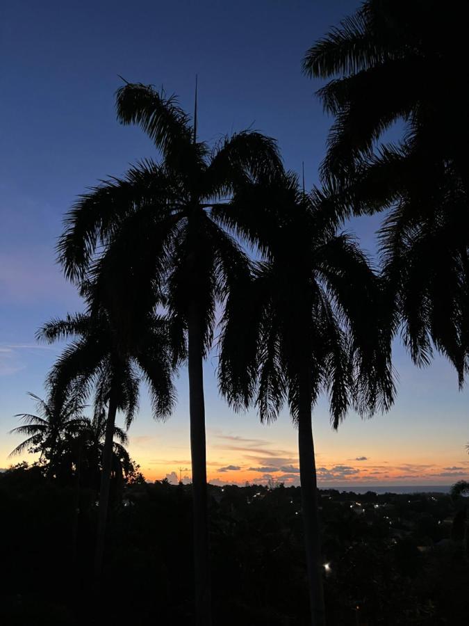 The @ Peaceful Palms Hostel Montego Bay