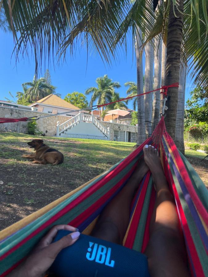 The @ Peaceful Palms Hostel Montego Bay