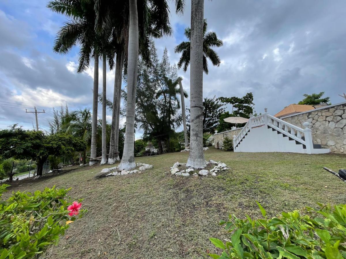 The @ Peaceful Palms Hostel Montego Bay