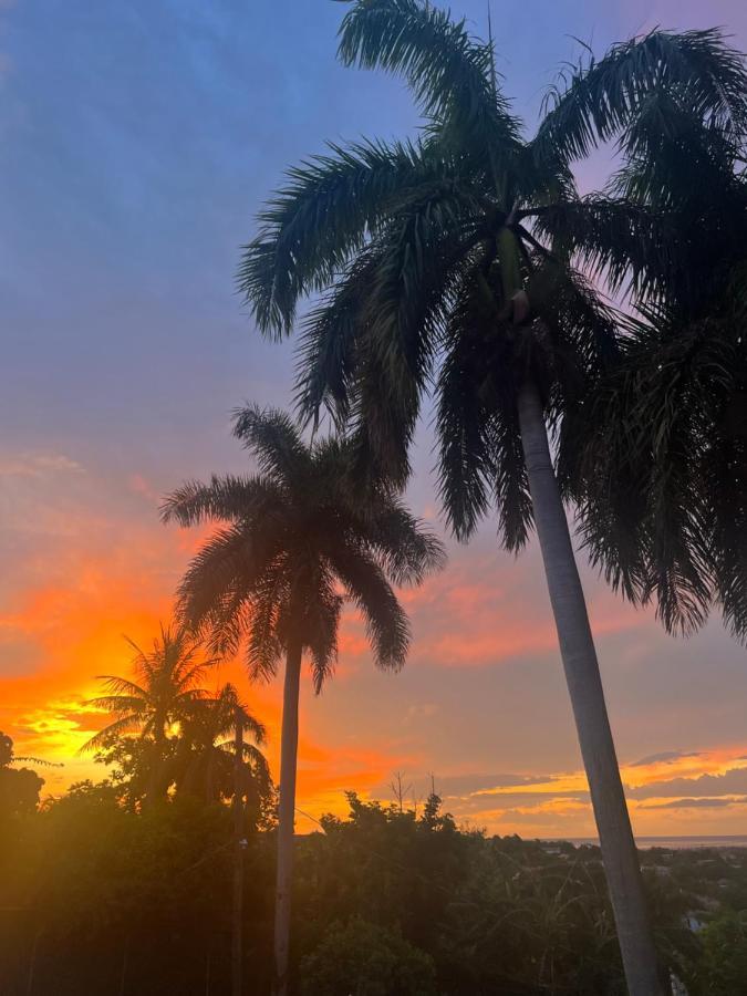 The @ Peaceful Palms Montego Bay