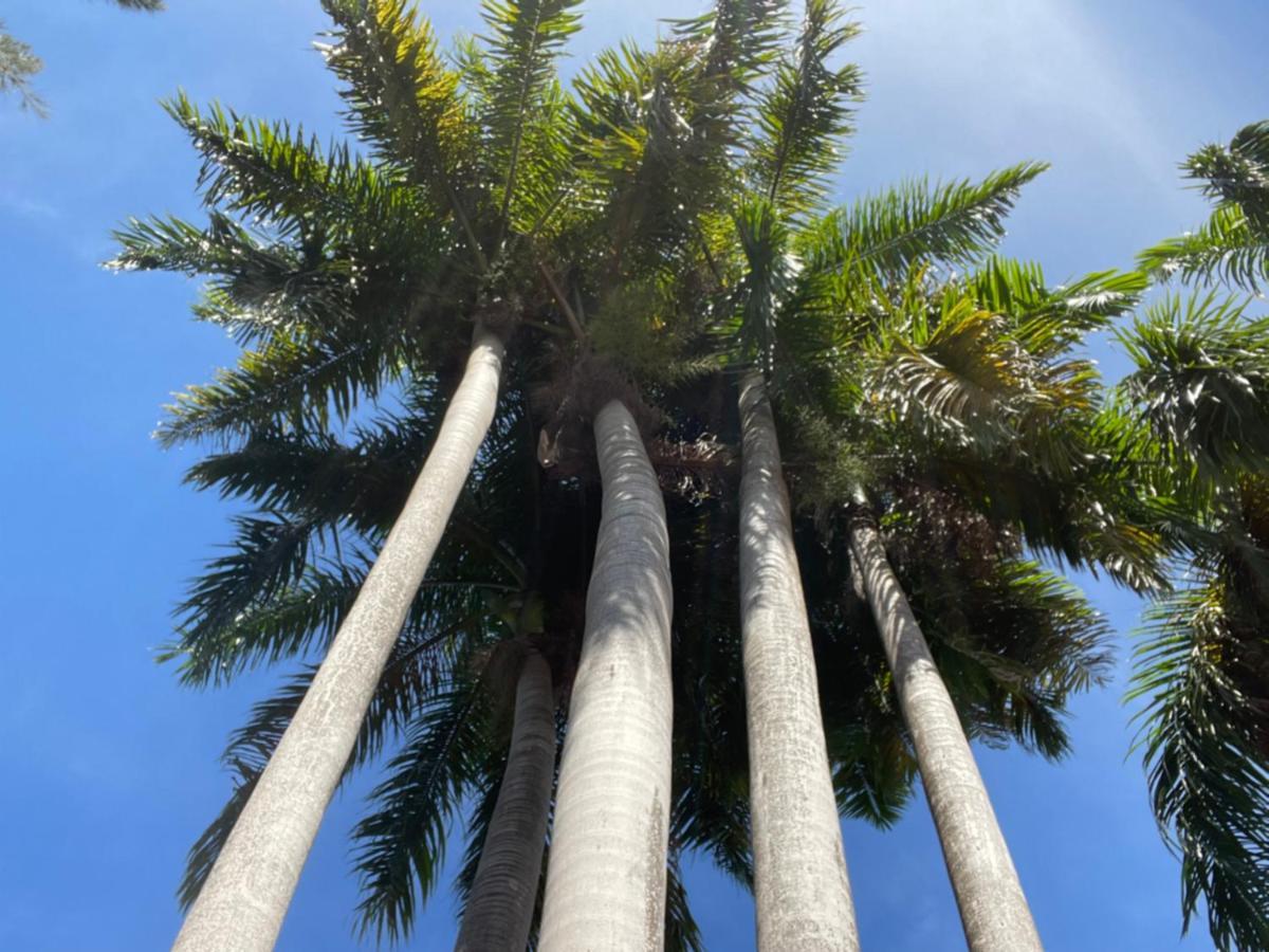 The @ Peaceful Palms * Montego Bay
