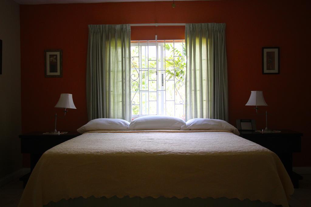 Bed & Breakfast Agapantha Mandeville