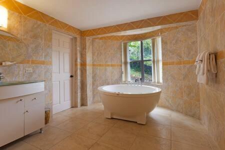 Hospitality Expert Stonehenge - 5br Mansion Montego Bay