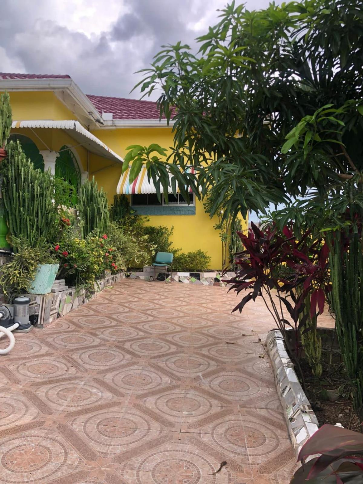 Guest house Leo May Pen