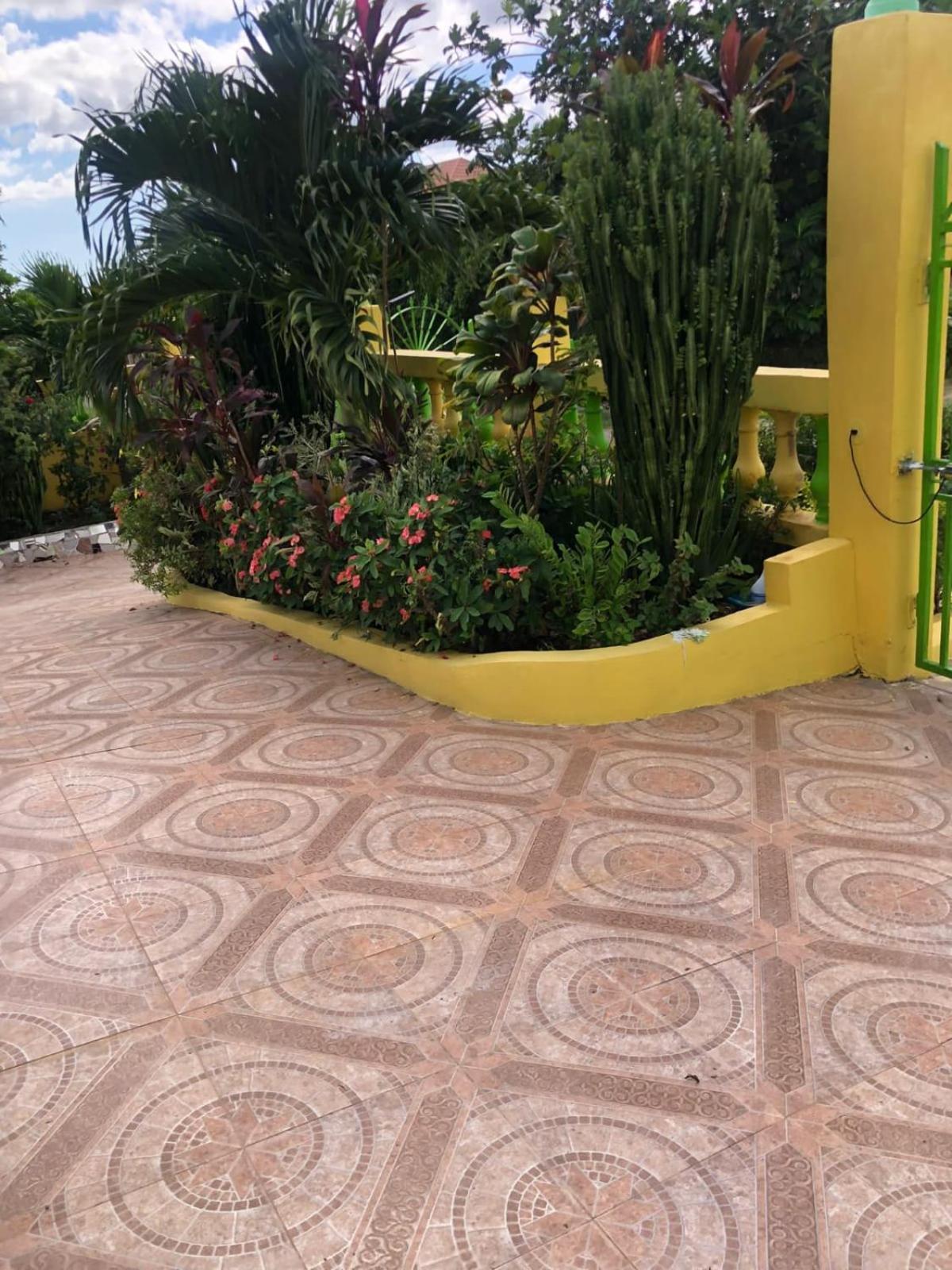 Leo *
