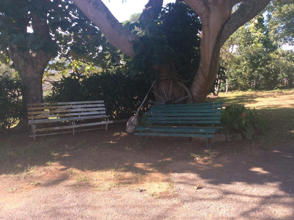 Bed & Breakfast June Plum Mandeville