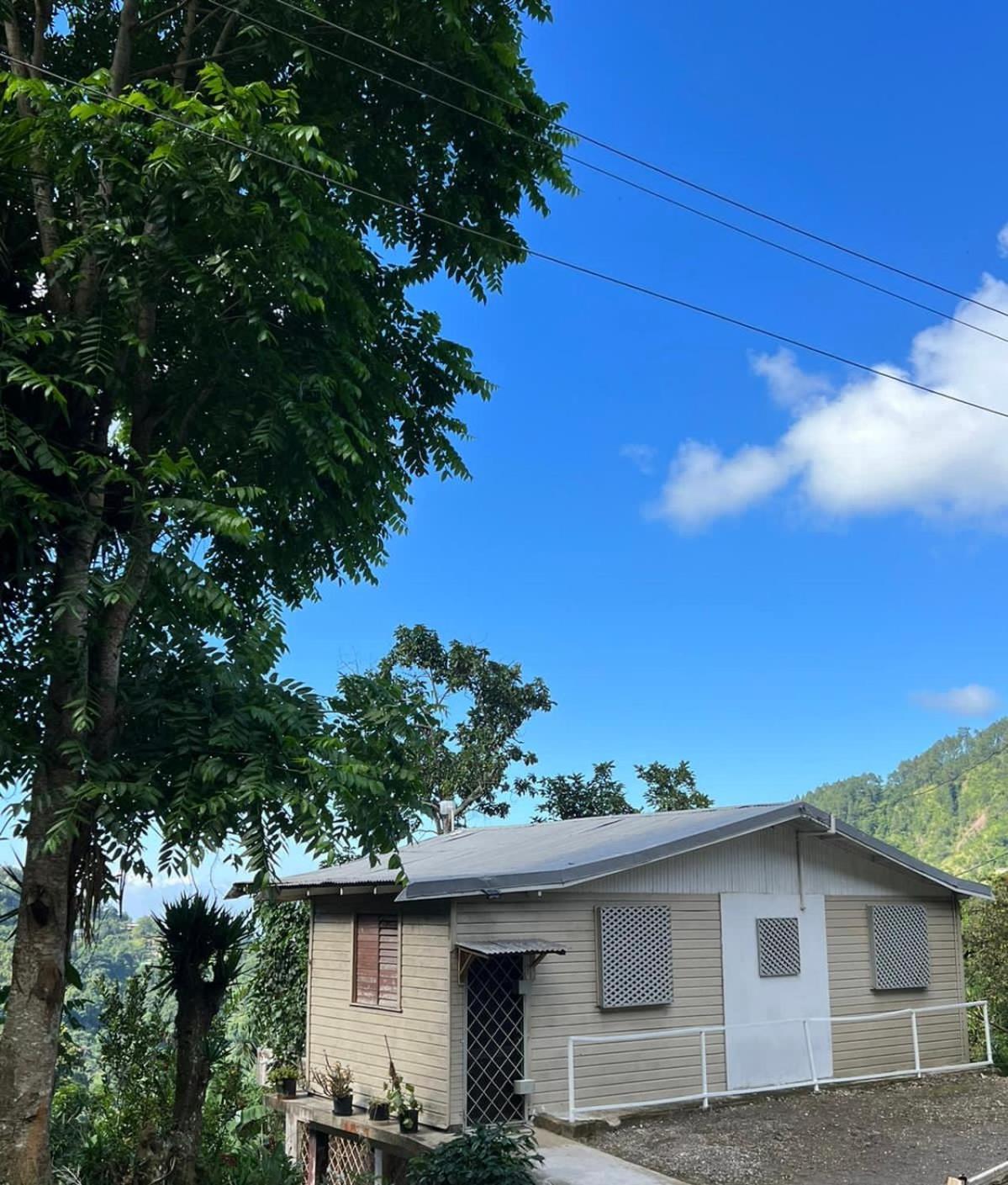 Farm stay Adella's Blue Mountain Coffee *