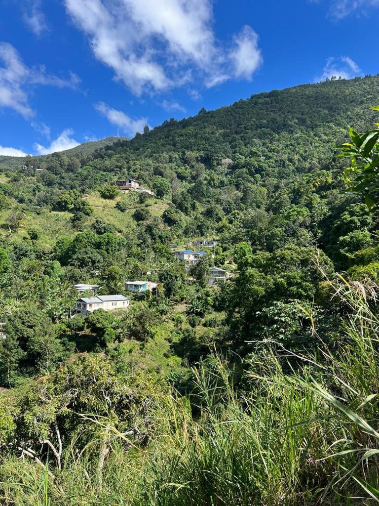 Farm stay Adella's Blue Mountain Coffee Kingston