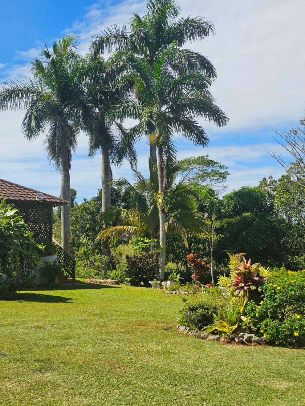 Dalkeith Greathouse Guest house *