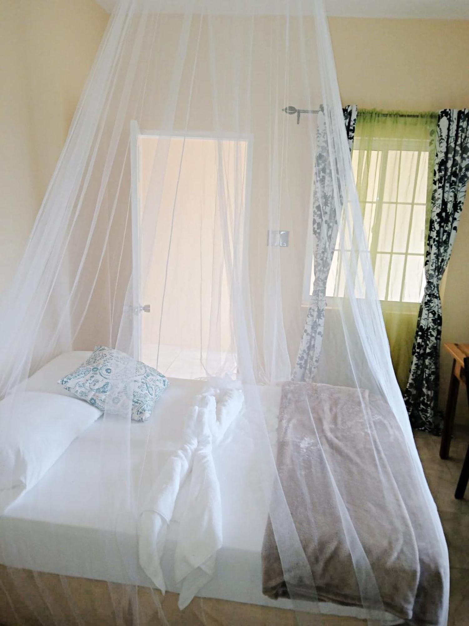 Viva Violas Hostel