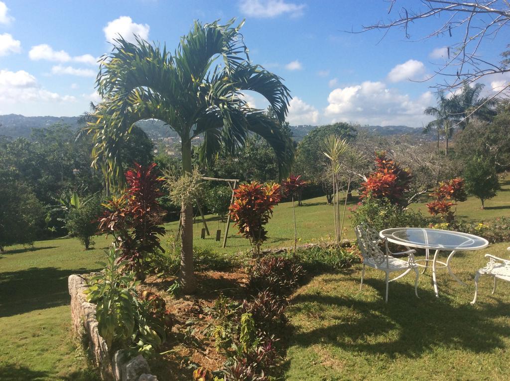 Bed & Breakfast June Plum Mandeville