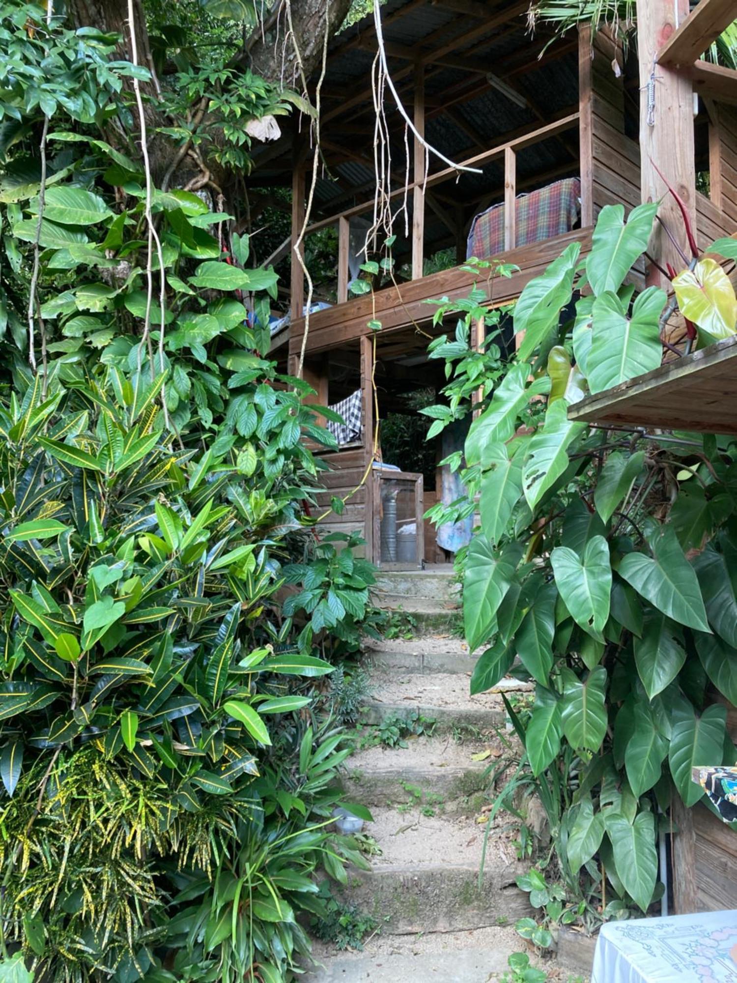 Blue Mountain Retreat Country house Kingston