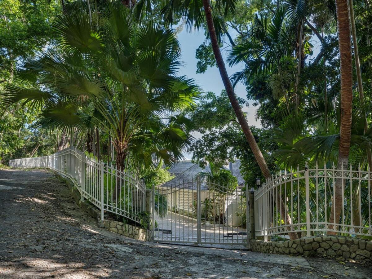 Jamille - Stunningly Designed With Pool, Sauna, & Ocean Views Port Antonio
