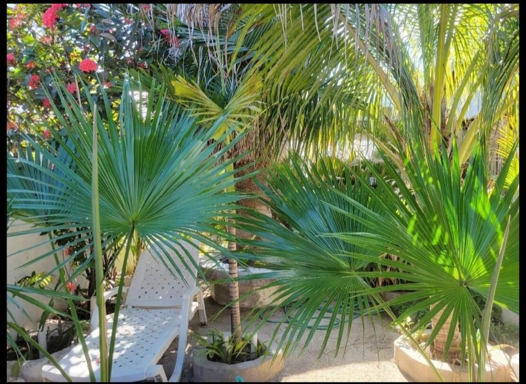 Forest Court Guest house Portmore