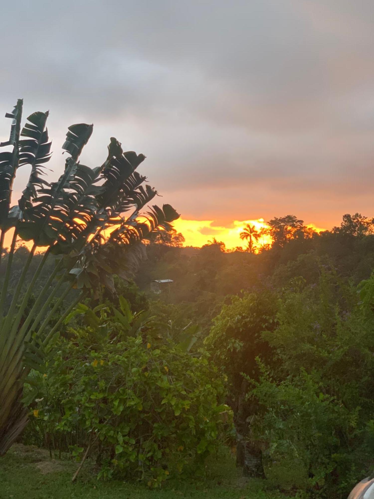 Teresinajamaica Guest house