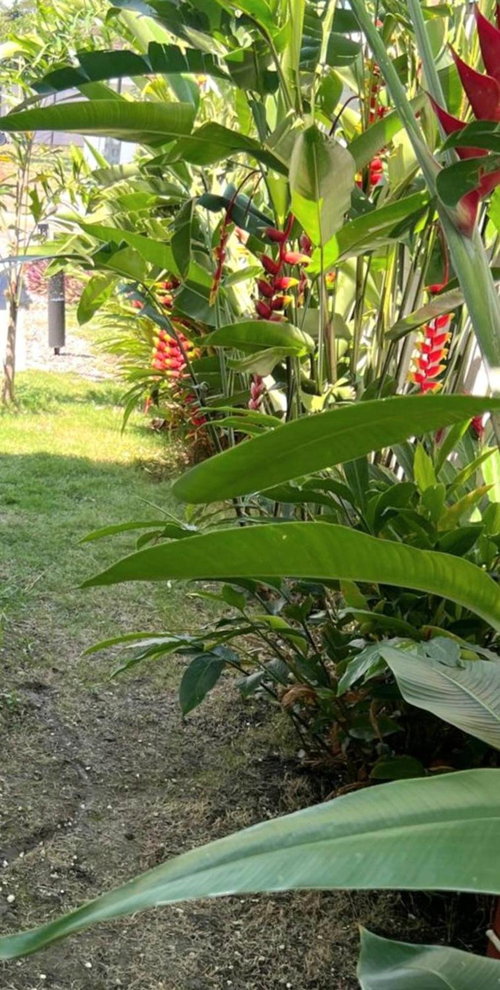 Private Peaceful Style Cool Water Escape Near Ocho Rios * Saint Ann's Bay