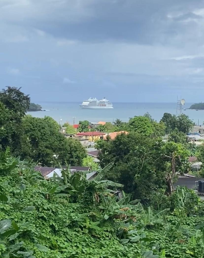 Viva Violas Hostel Port Antonio