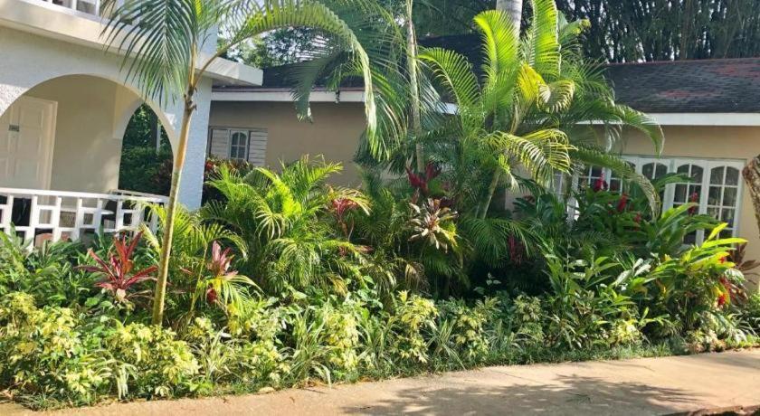 Hotel Gold Nugget Negril