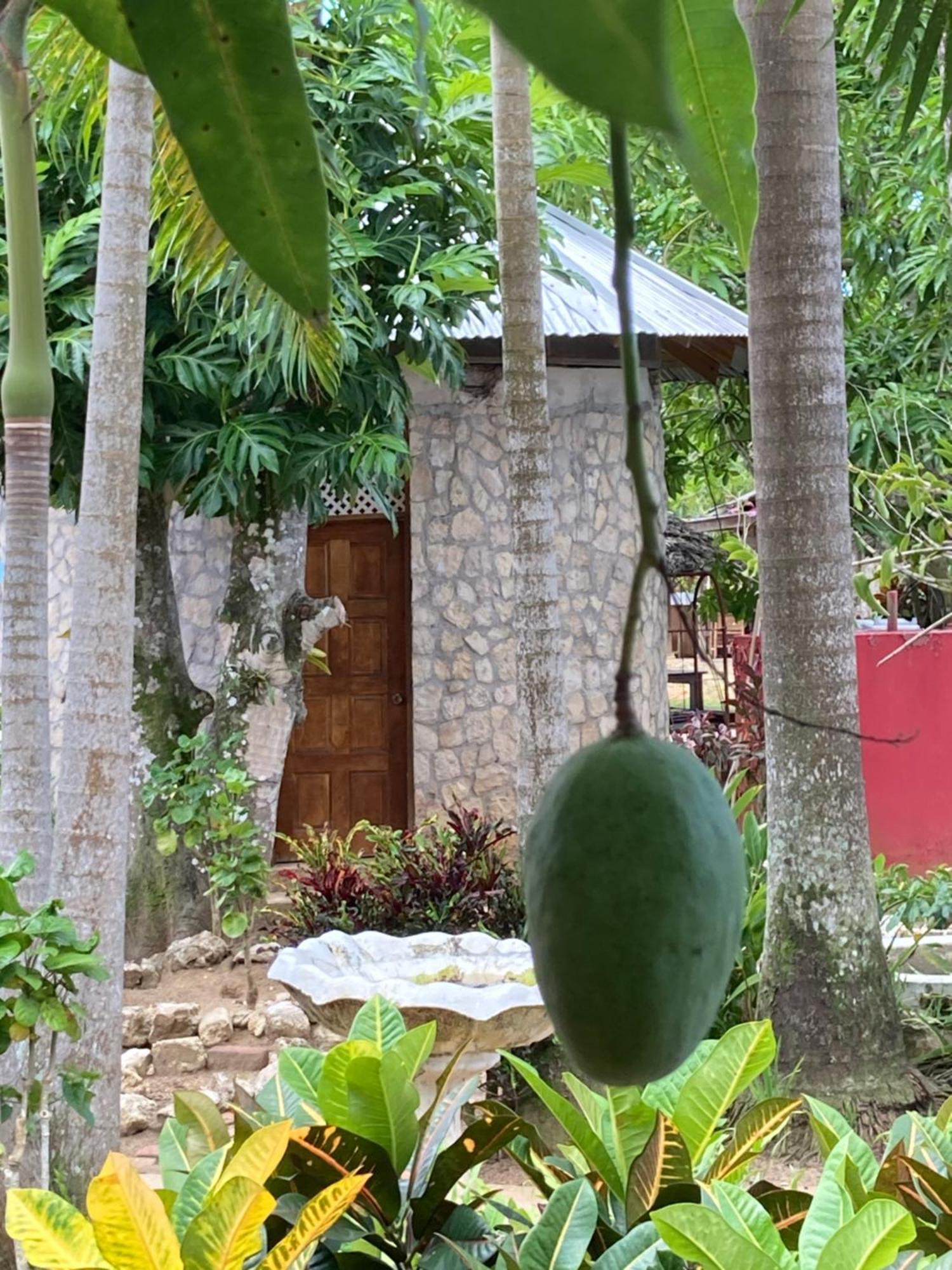 Yoga Dreams Hotel Negril