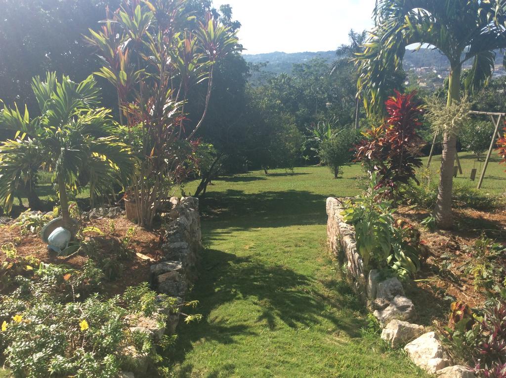 June Plum 3* Mandeville
