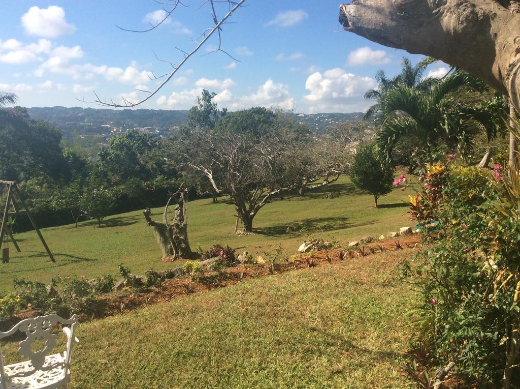 June Plum Bed & Breakfast