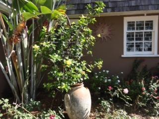 June Plum Bed & Breakfast