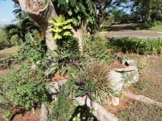June Plum Bed & Breakfast 3*