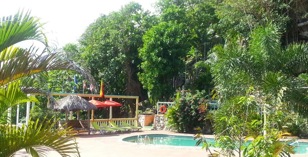 Pimento Alojamento Port Antonio