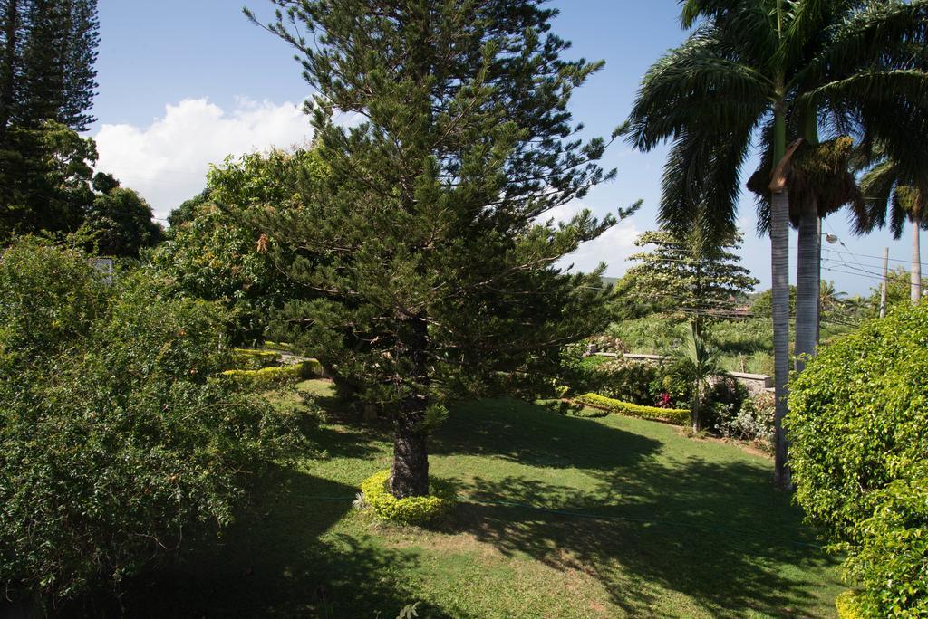 Hatfield South Villa *