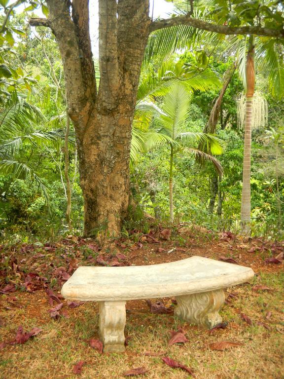 Agapantha Bed & Breakfast