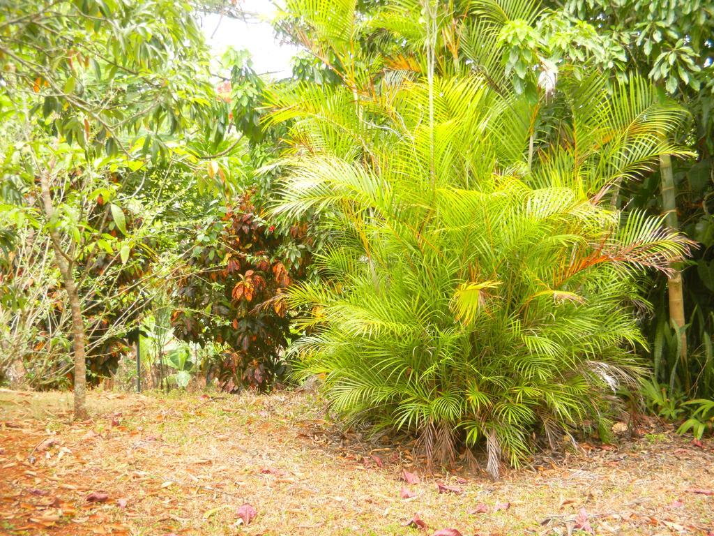Agapantha Bed & Breakfast 2*