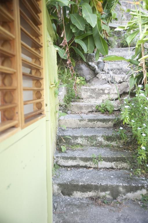 Mount Edge Port Antonio