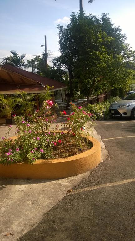 Casa de hóspedes Palm Bay & Restaurant *