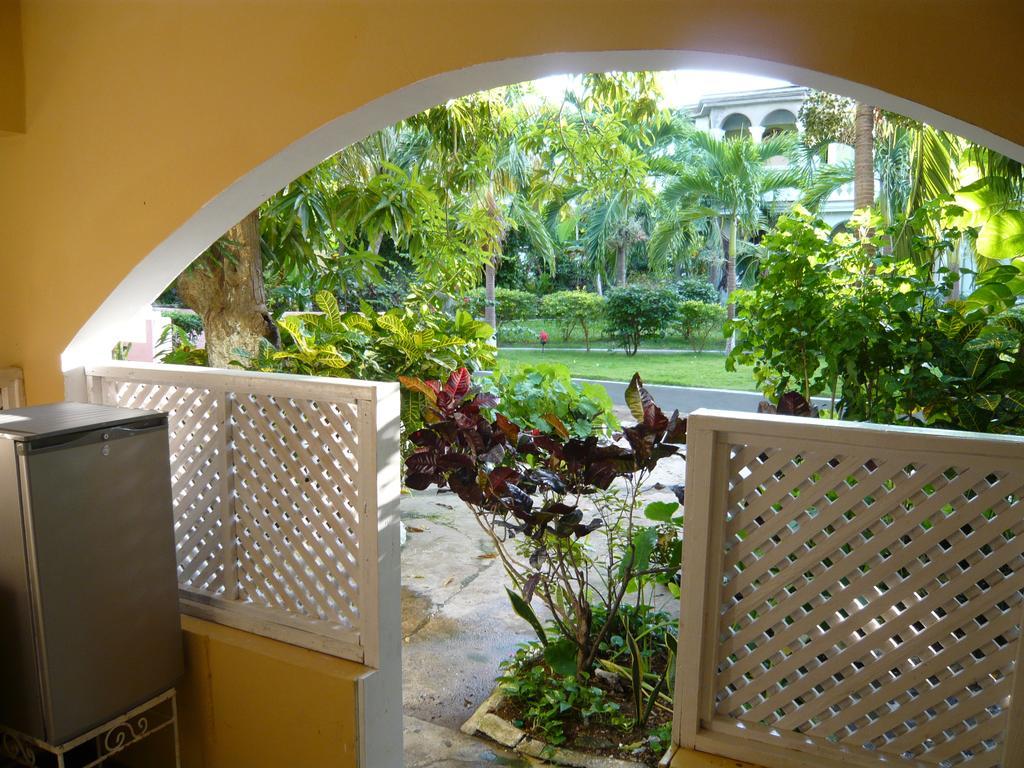 Eddies Tigress 2 Negril