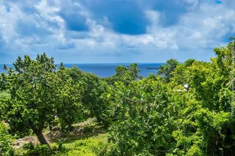 Gasthof Ackee Tree Sea View *
