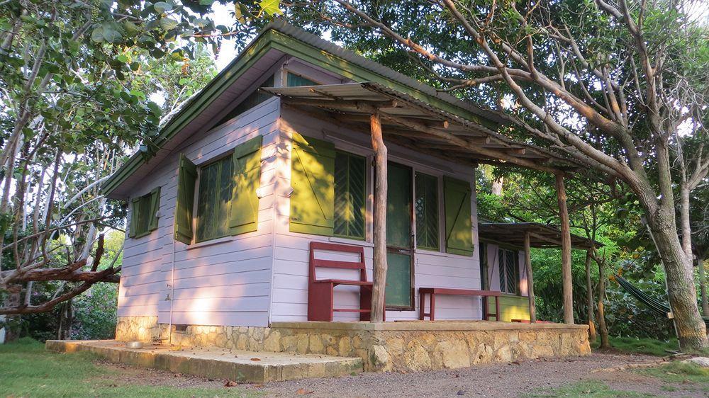 Tingalaya's Retreat Guest house Negril