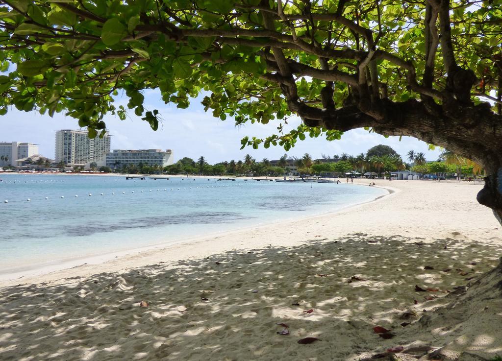 Apartment One Bedroom C5 Ocho Rios