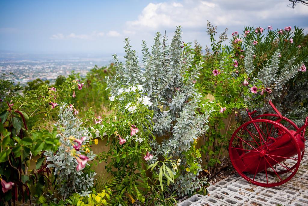 Sky View Guest Apartments Aparthotel 3*