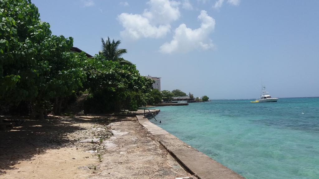 Silver Seas 2*