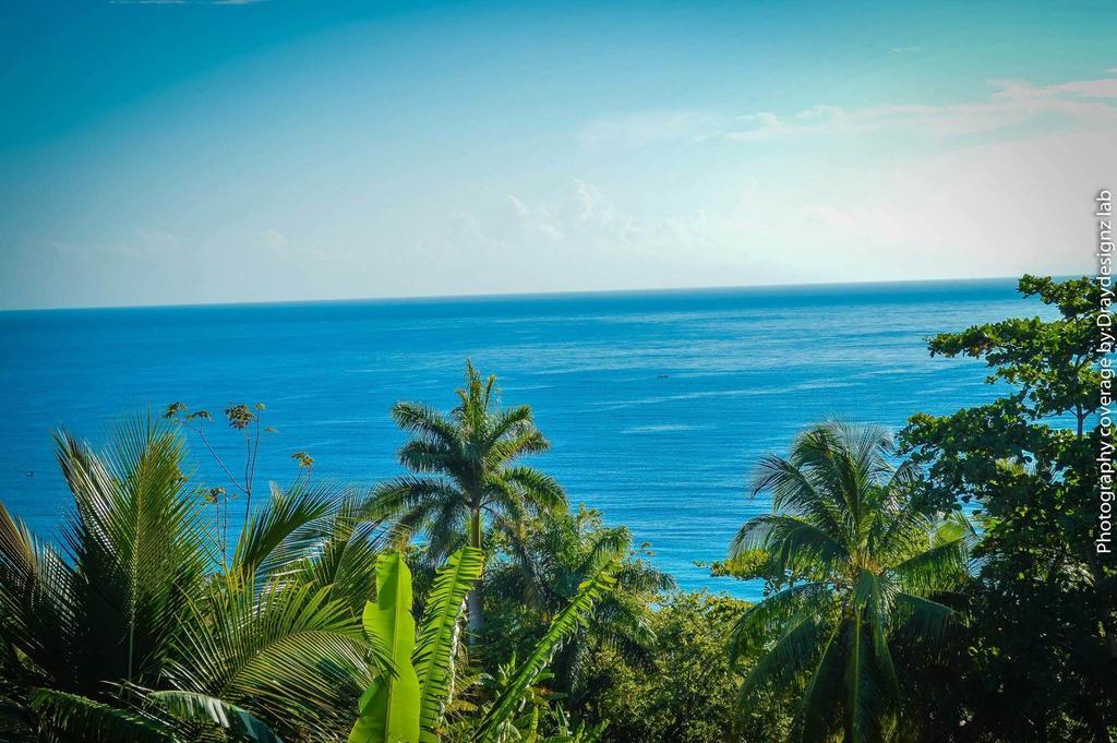 Gasthof Ackee Tree Sea View *