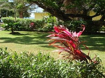 Paradise Tropical Spice -
