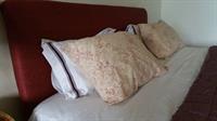 Tranquility Estate Bed And Breakfast Hotel Kingston