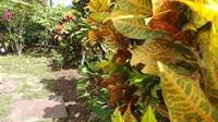 Tranquility Estate Bed And Breakfast Hotel 3*