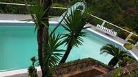 Tranquility Estate Bed And Breakfast Kingston