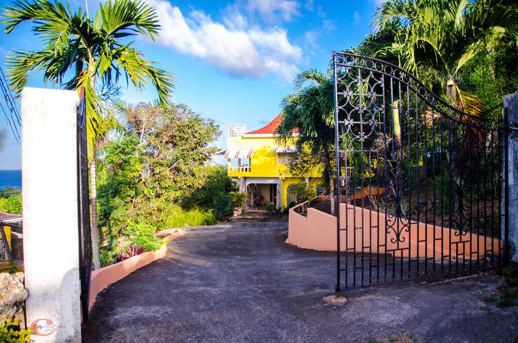 Gasthof Ackee Tree Sea View Port Antonio