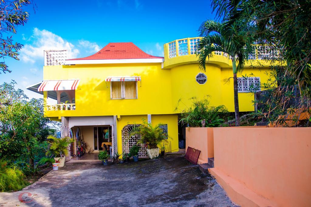 Ackee Tree Sea View Gasthof